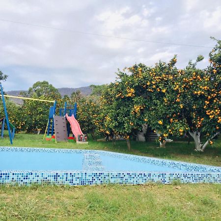 Holiday Home New Athos Luaran gambar